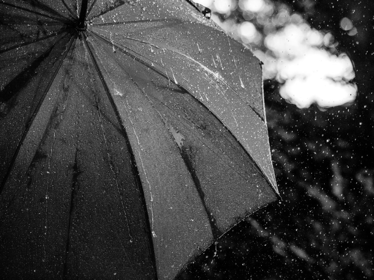 Shiny Hurting People, Imaginary Umbrellas, and Biblical Authority: Bill Gothard and&nbsp;IBLP